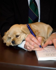 My puppy Lucy resting on my arm as I sign books